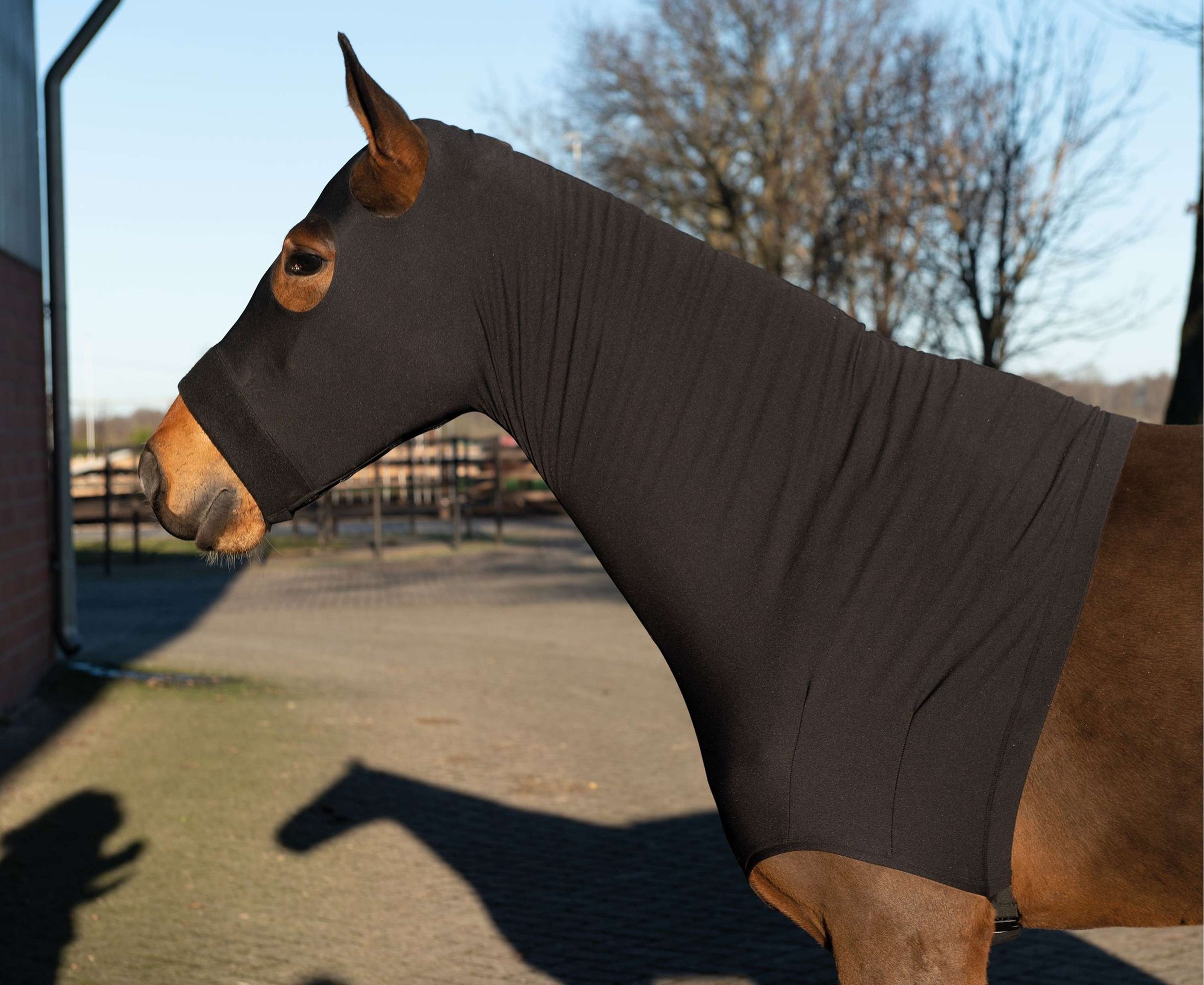 HKM Sleezy Noir HKM Sleezy Noir