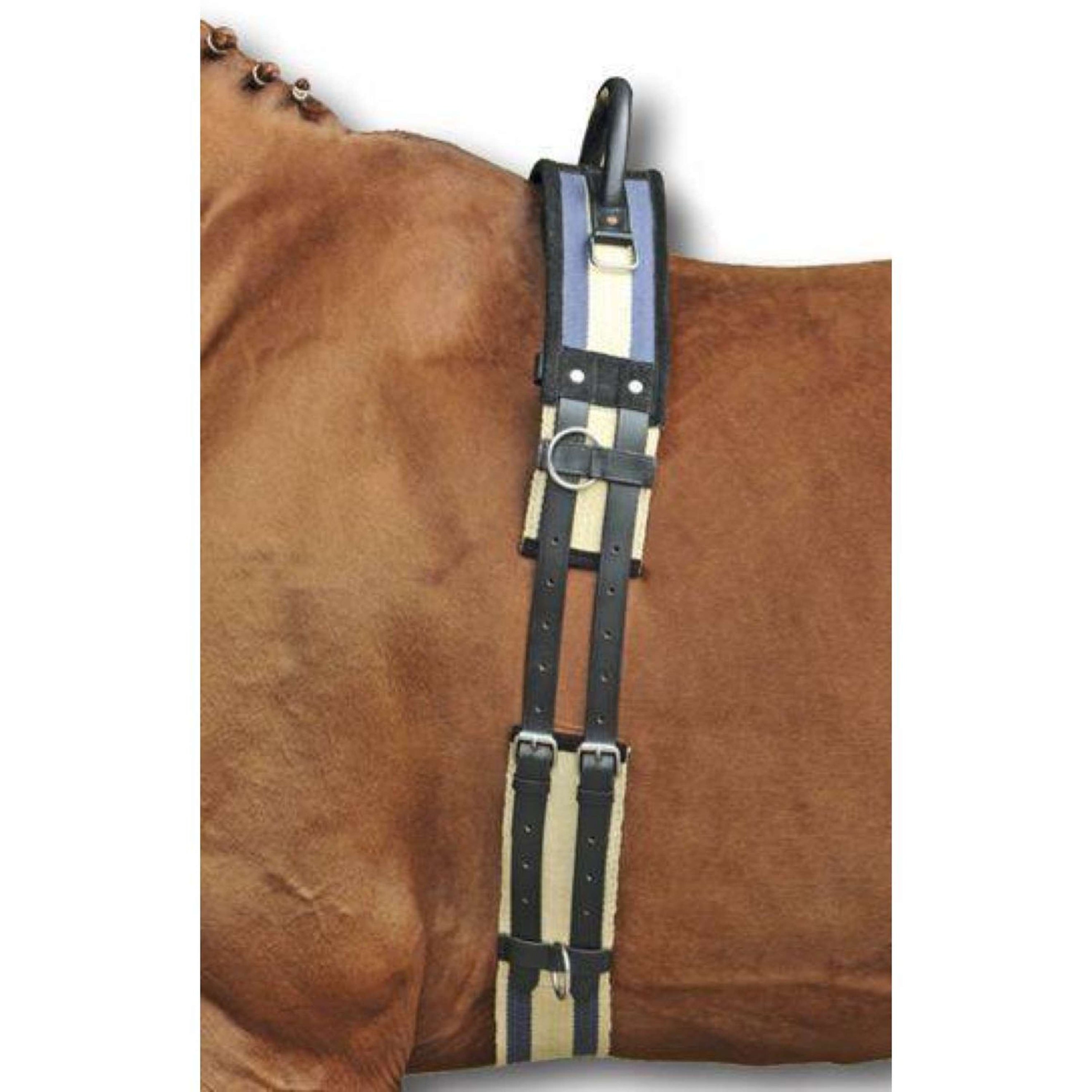 HKM Surfaix de Longe avec Poignée Noir HKM Surfaix de Longe avec Poignée Noir