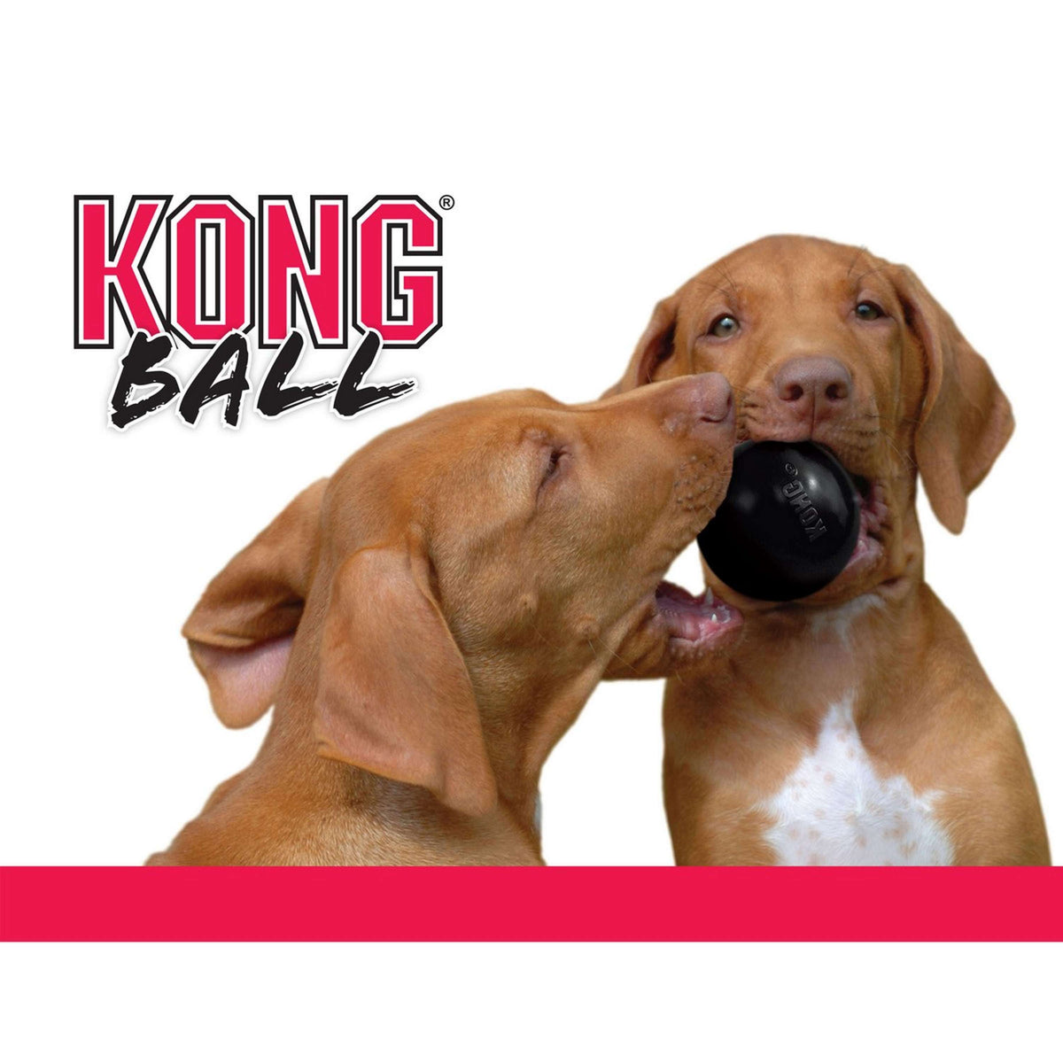 Kong Balle X-Treme Caoutchouc Noir