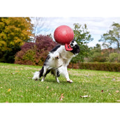 Jolly Ball Tug-n-Toss Bleu