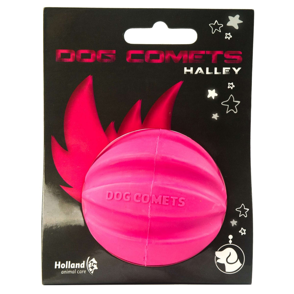 Dog Comets Halley Rose