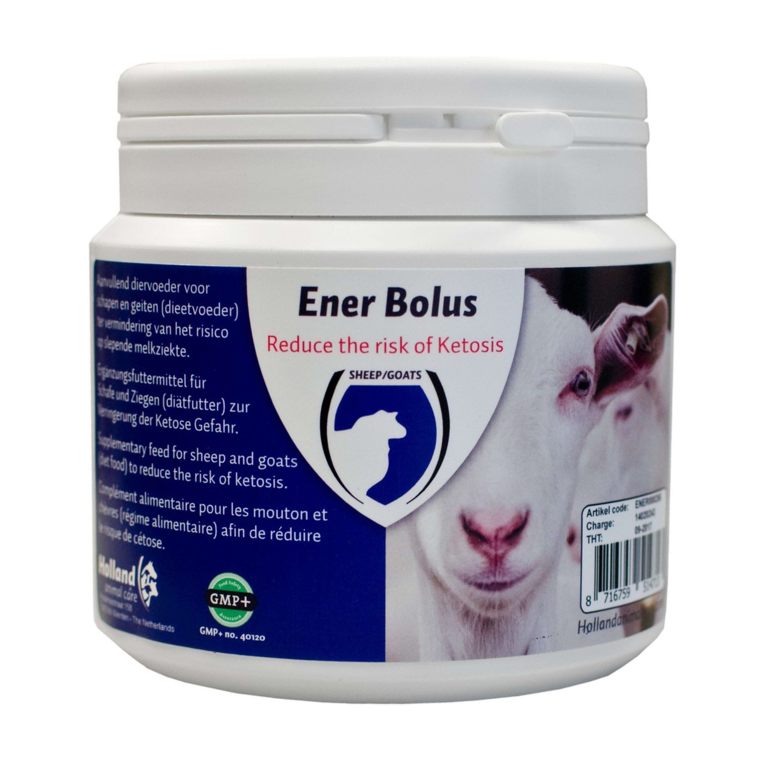 Excellent Ener Bolus