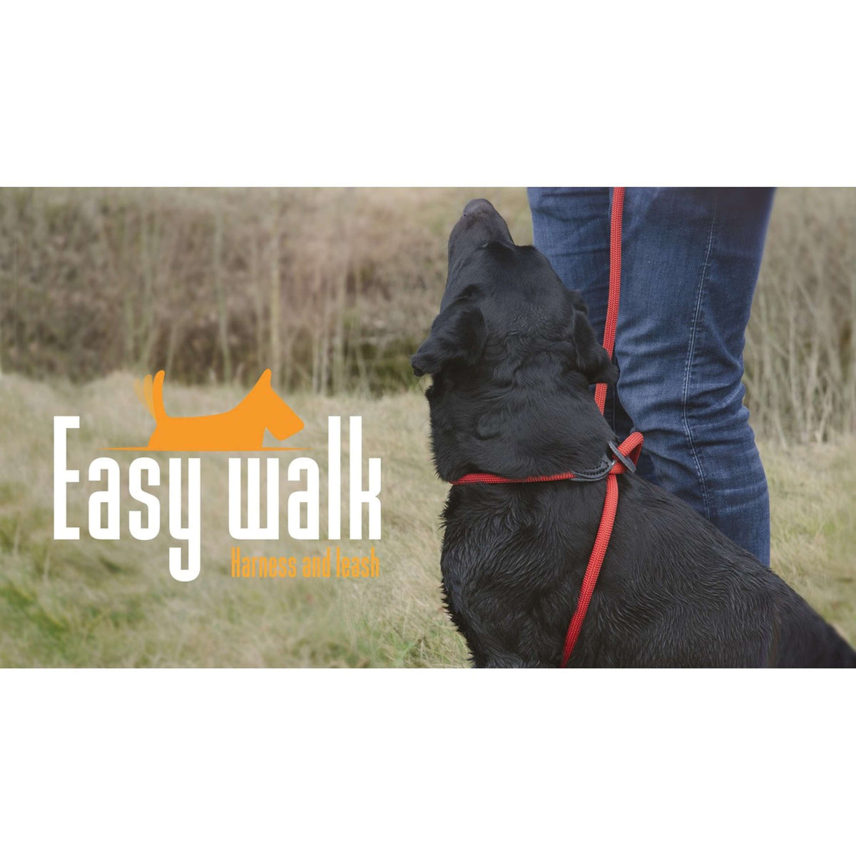 Agradi Easy Walk Modèle Épaule Easy Walk Rouge