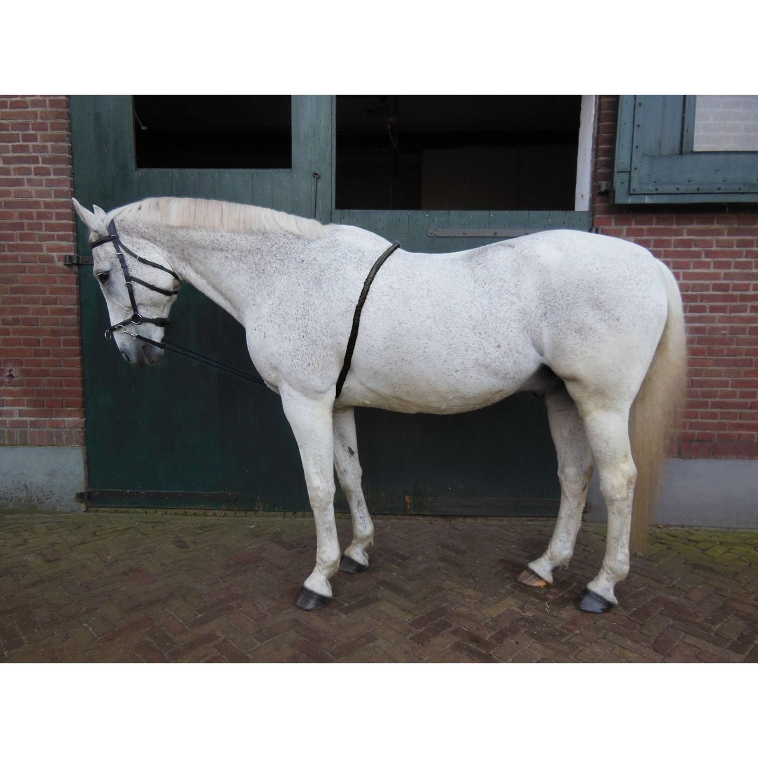 HORKA Enrênement Peli Noir HORKA Enrênement Peli Noir