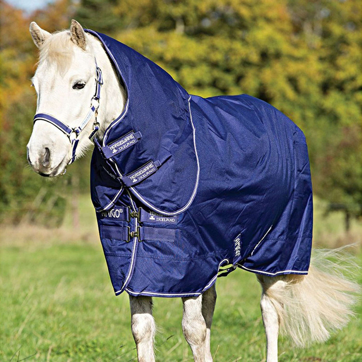 Amigo Turnout Medium Hero 900 Plus 200g Bleu atlantique/AB ivoire