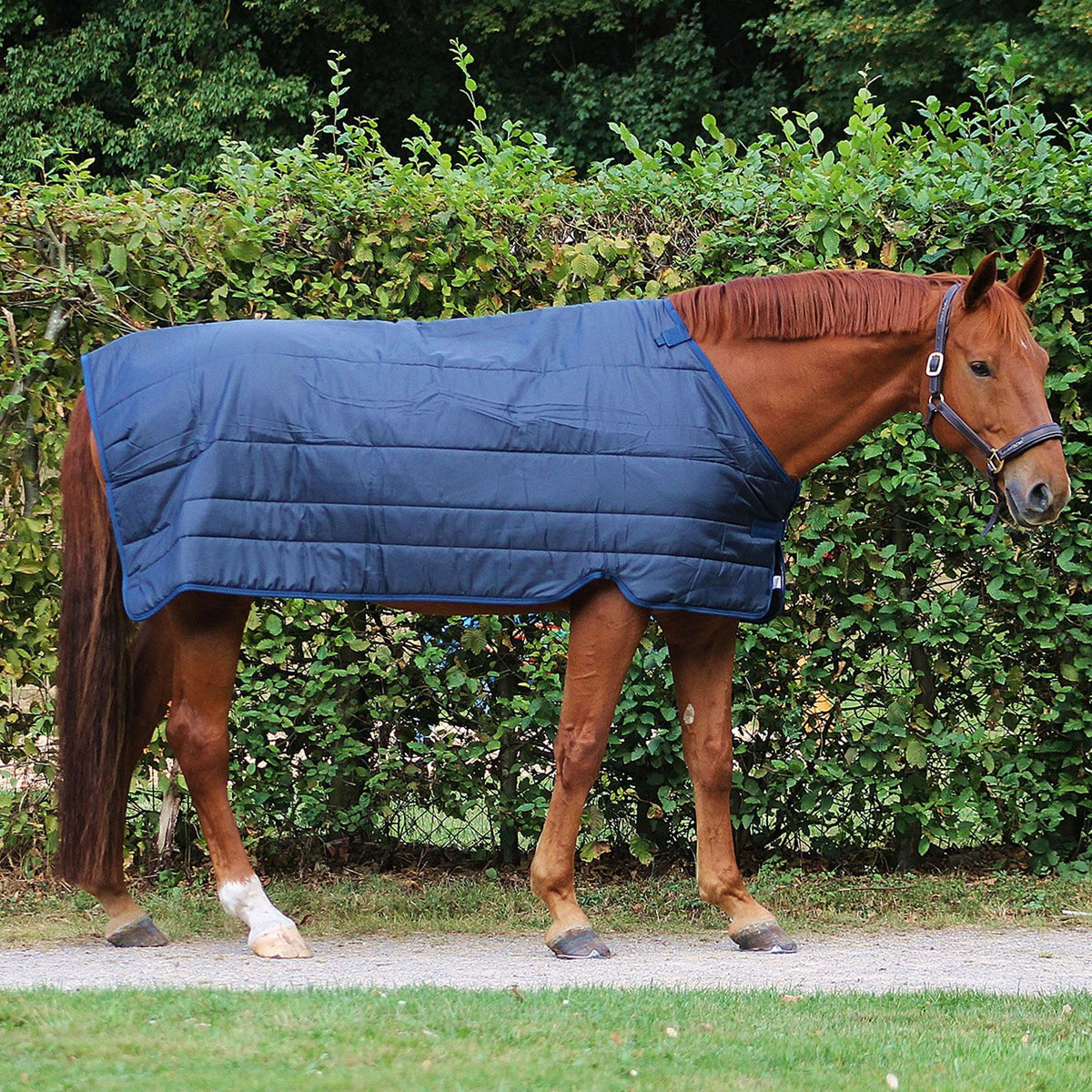 Horseware Couverture 400g Marin