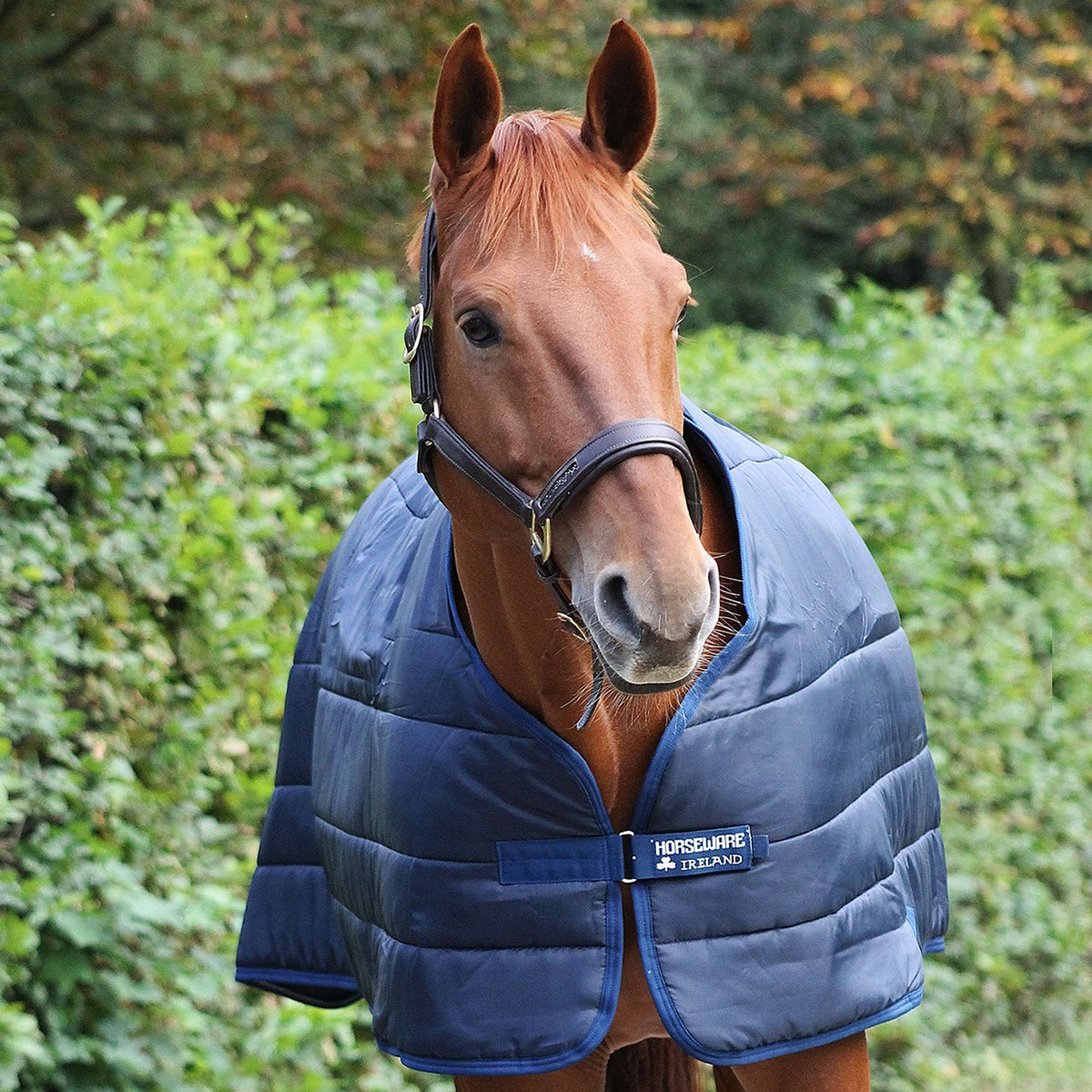 Horseware Couverture Liner 400g Marin