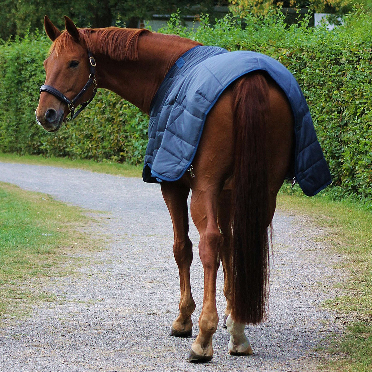 Horseware Couverture Liner 300g Marin