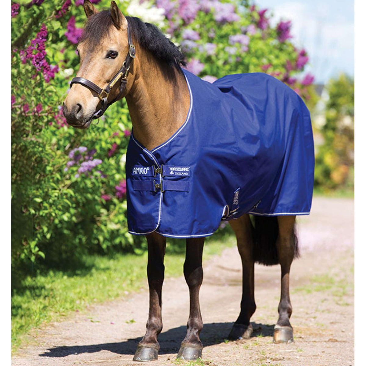 Amigo Turnout Medium Hero 900 200g Bleu atlantique/AB ivoire