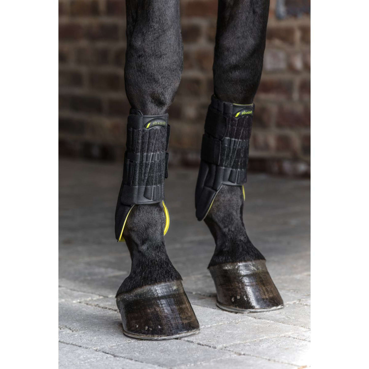 Horseware Protective Leg Boot Noir/Jaune