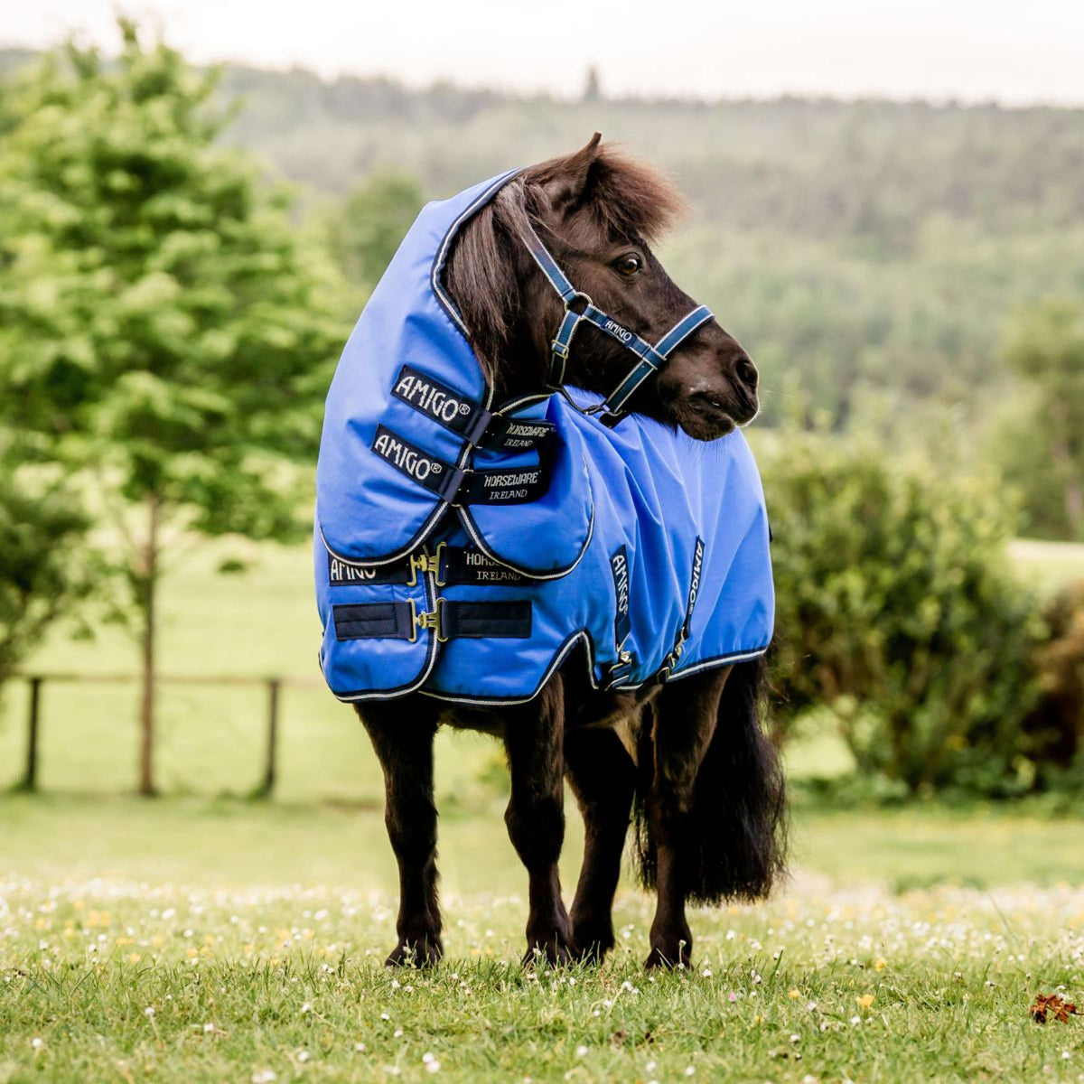 Amigo Turnout Lite Hero 6 Petite Plus Bleu/Marine