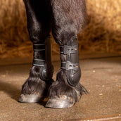 Harry's Horse Protèges-Tendons Pinlock Noir