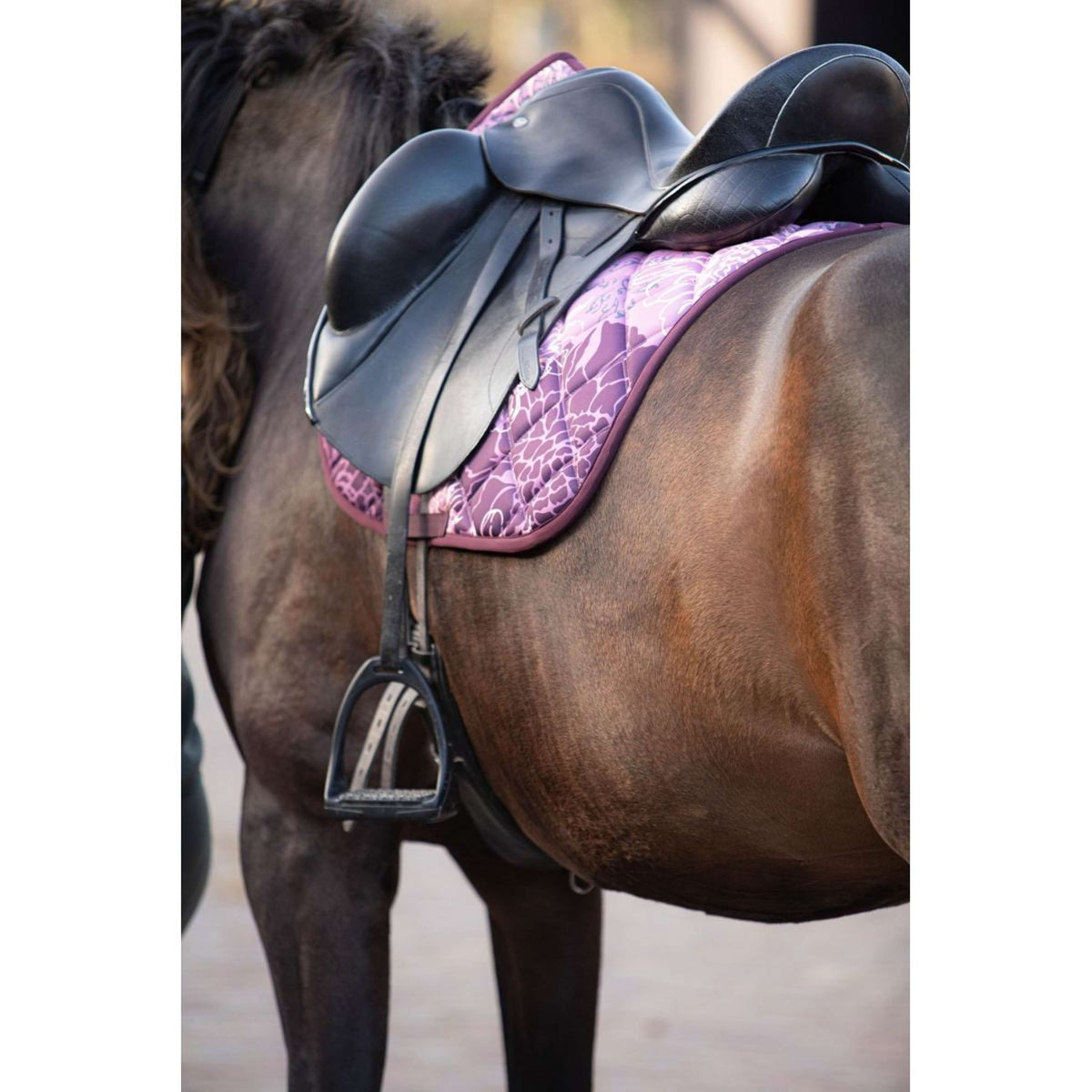 Harry's Horse Tapis de Selle Denici Cavalli Scabiosa Polyvalent Rose