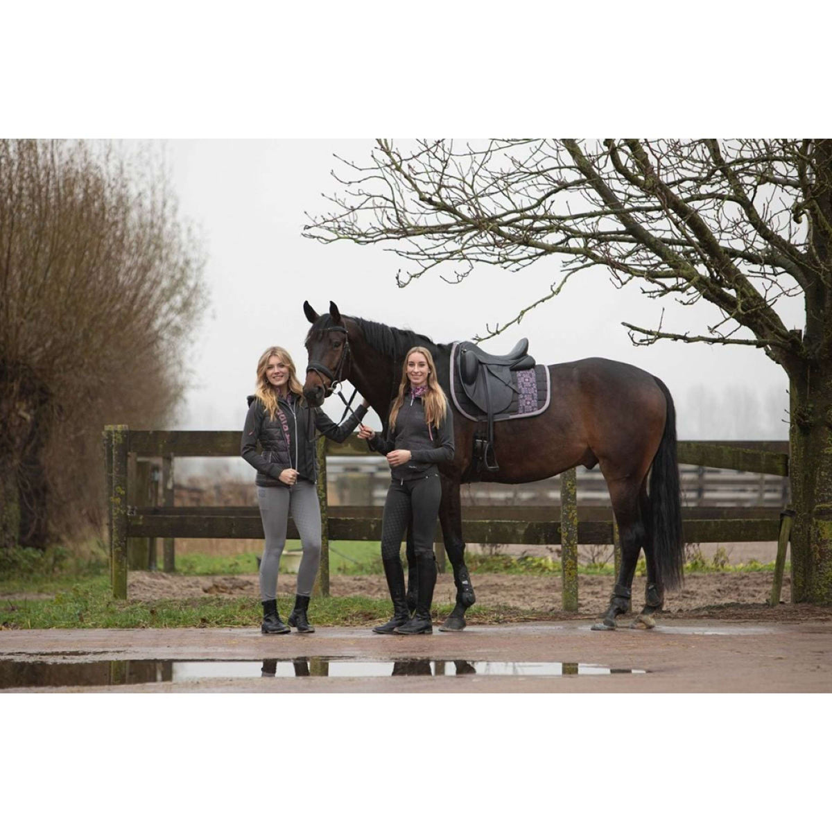 Harry's Horse Tapis de Selle Just Ride Urban Dressage AntrhaciteGris