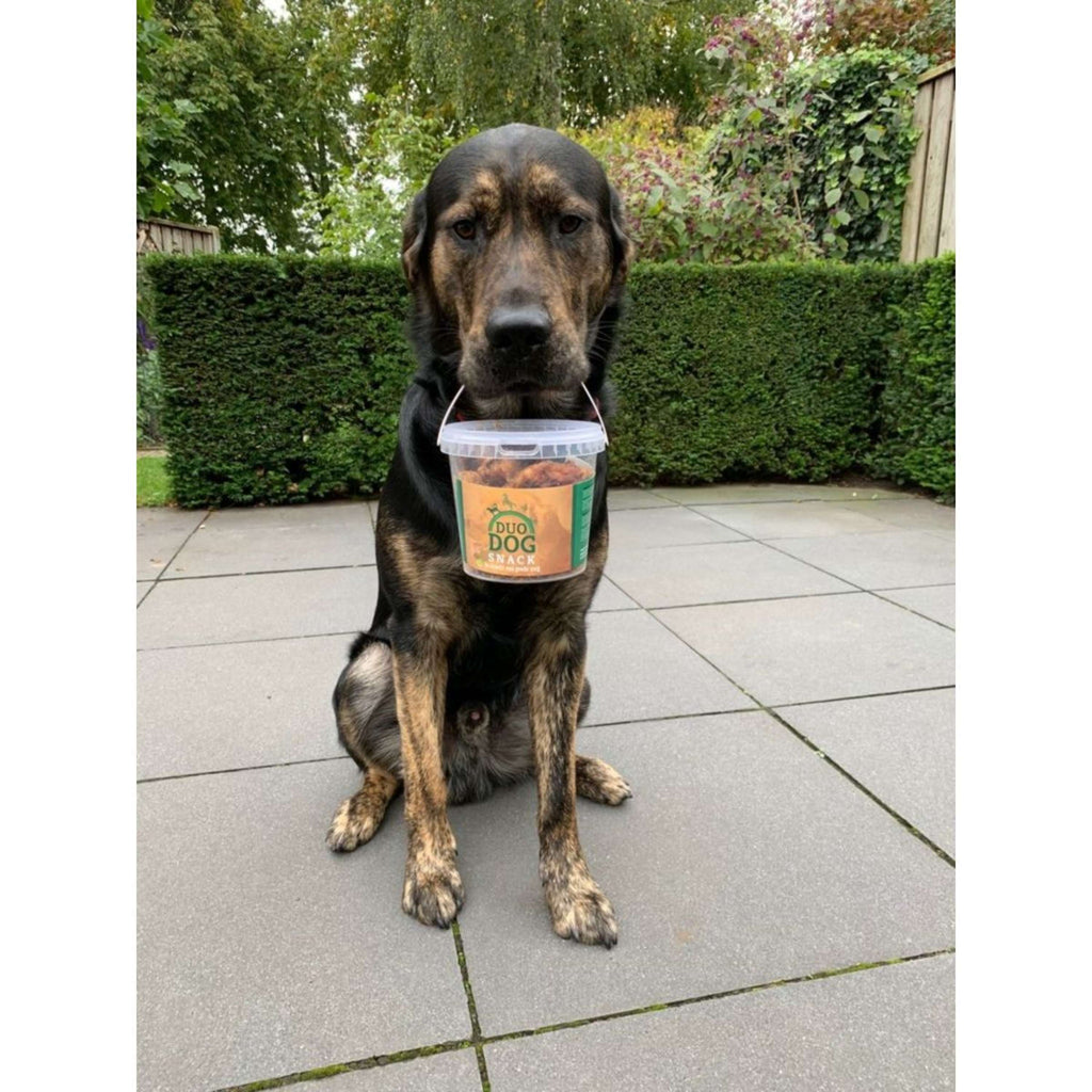 Duo Protection Duo Dog Friandise pour Chien