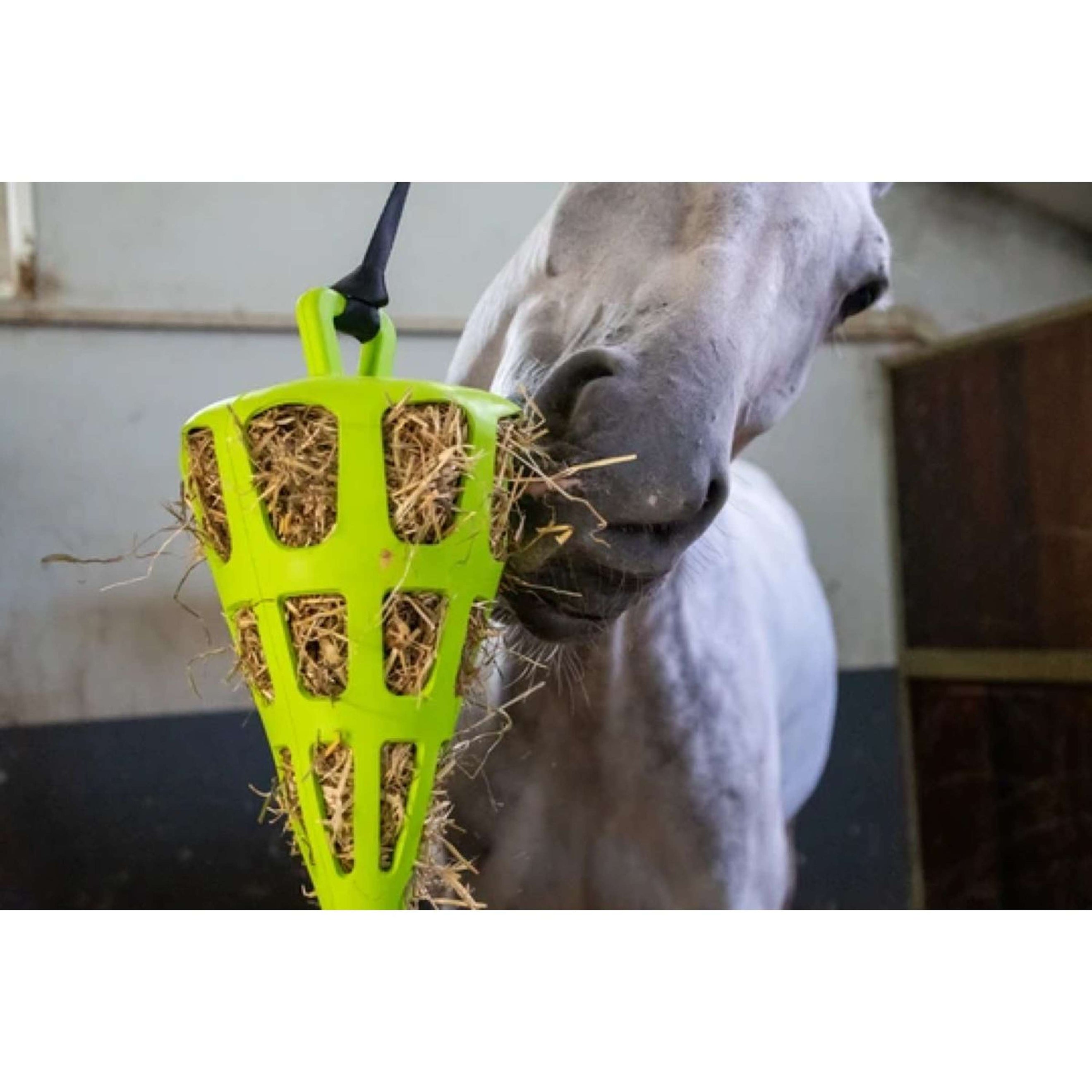 Excellent Filet Anti-Glouton Fun and Flex Carotte Vert Excellent Filet Anti-Glouton Fun and Flex Carotte Vert