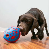 KONG Jouets pour Chien Rewards Wally