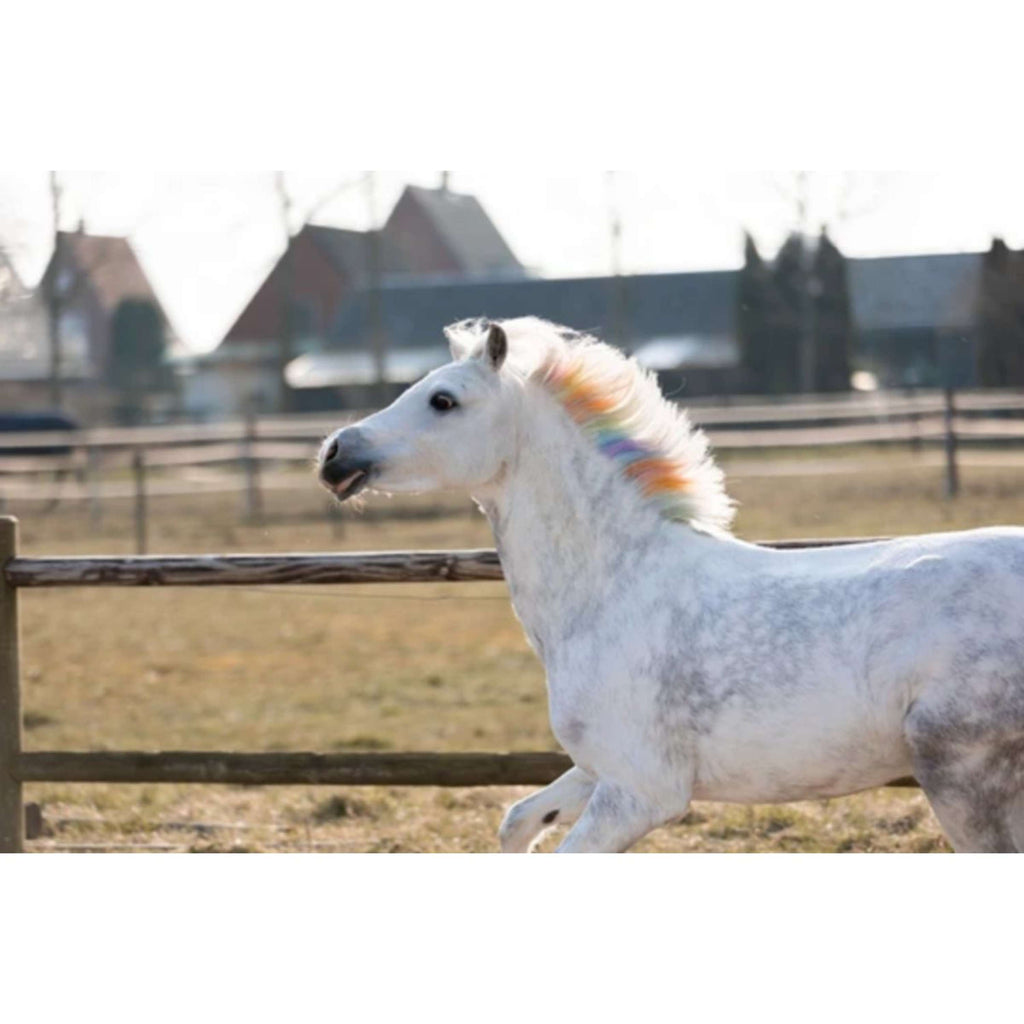 Lucky Horse des Crayons arc-en-ciel