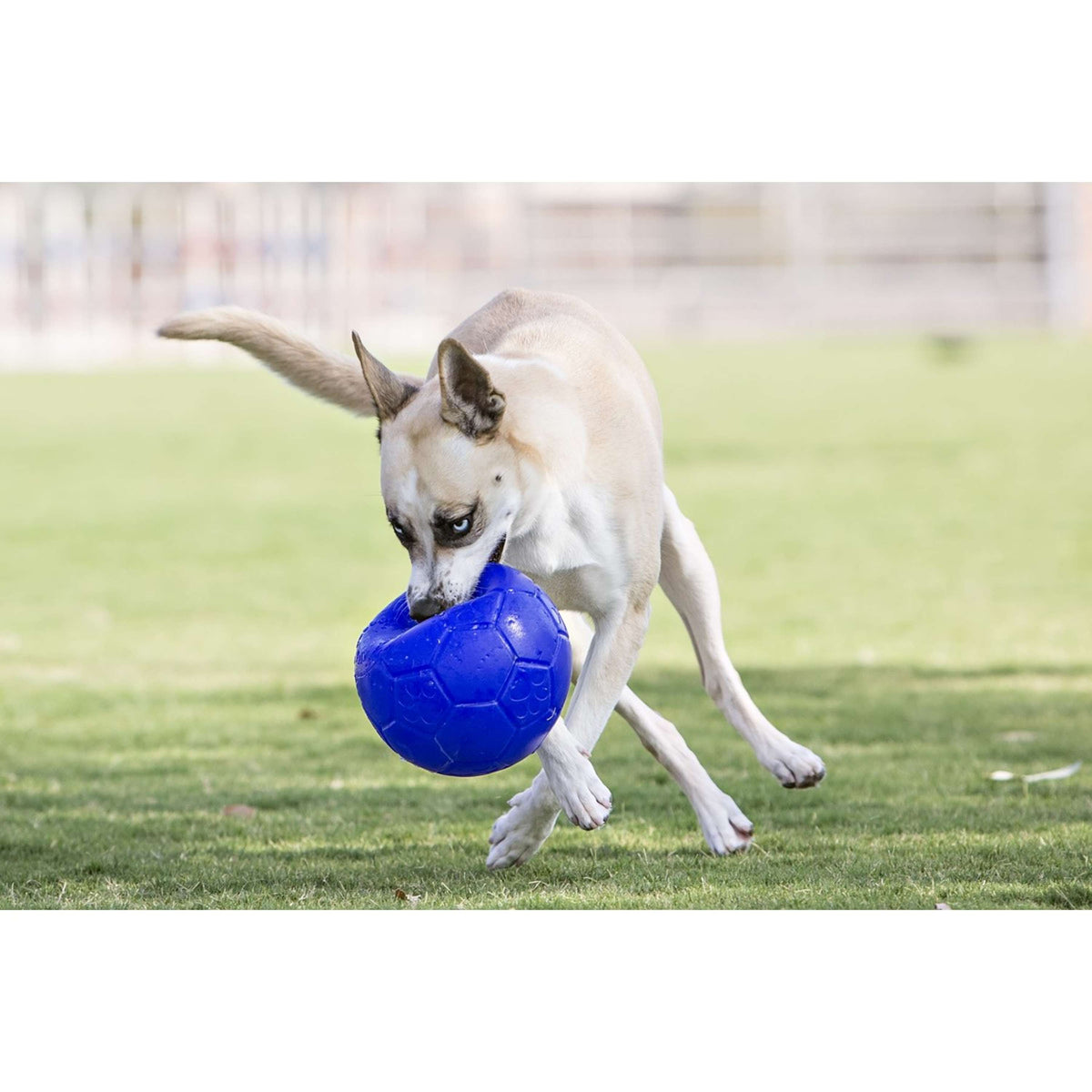 Jolly Ball Balle de Jeu Soccer Ball Rouge