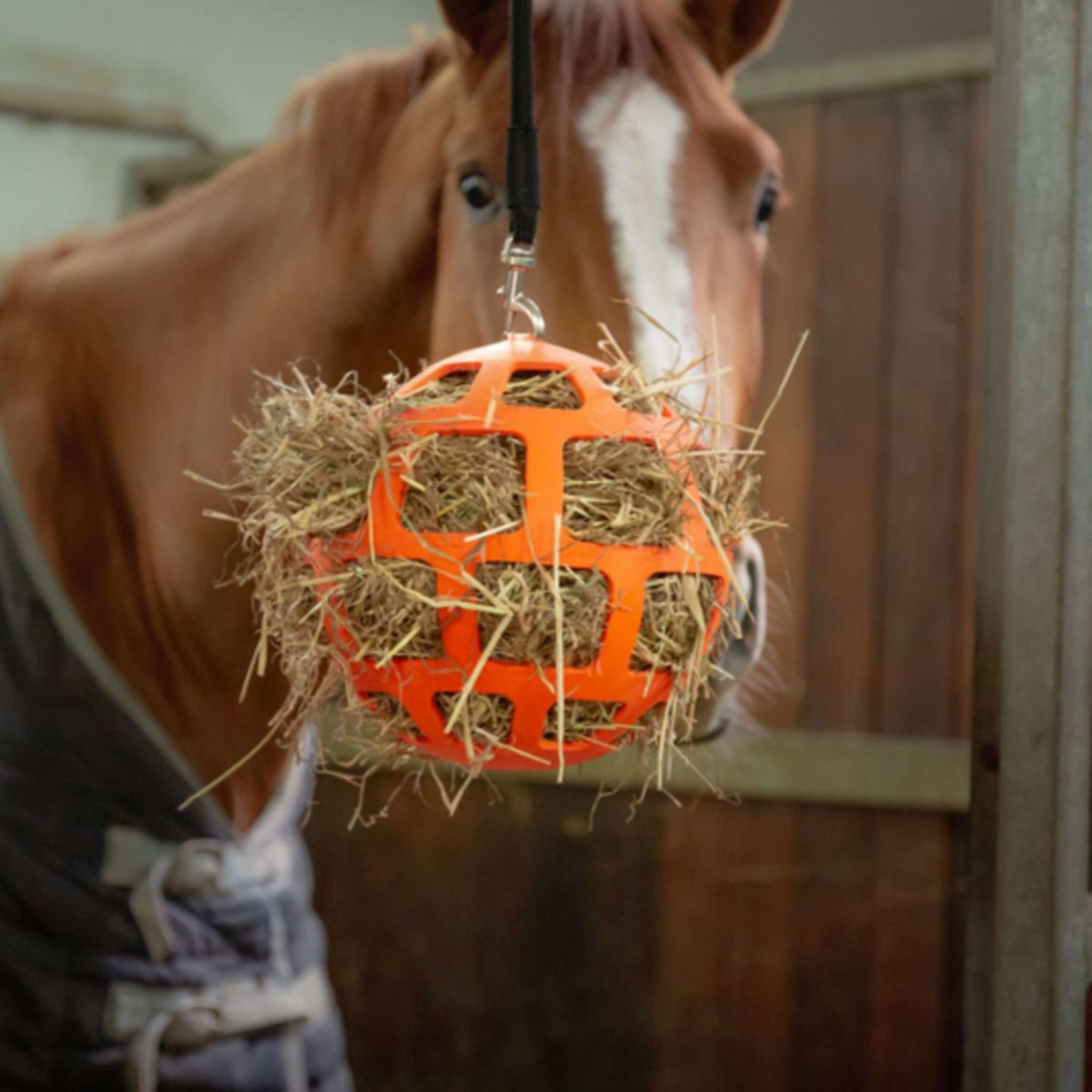 Excellent Hay Slowfeeder Fun and Flex Orange