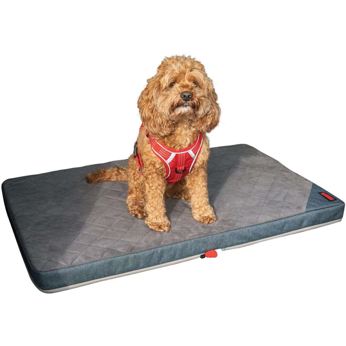 KONG Tapis pour Chien Fold-up Travel Gris