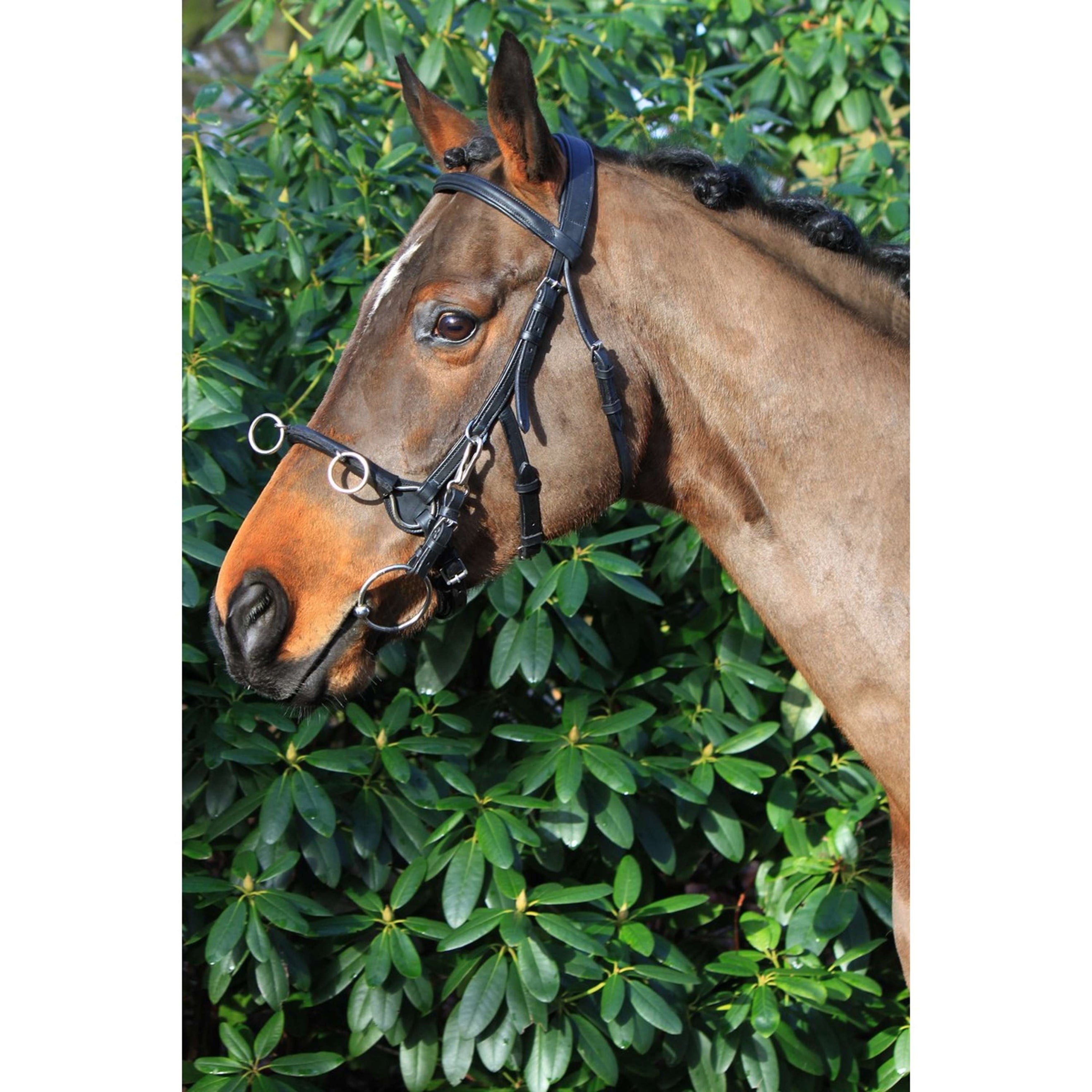 HORKA Bridon Caveçon Noir/Argent HORKA Bridon Caveçon Noir/Argent