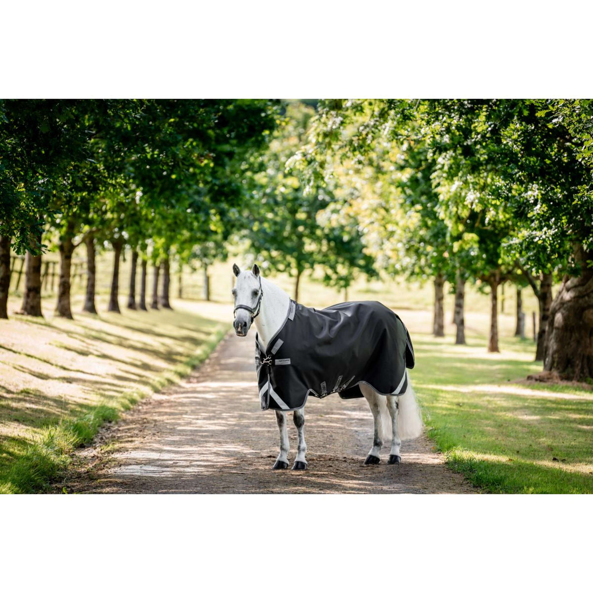 Rambo Chemise Turnout 1680D 50g Noir/Thunderstorm Grey/Silver