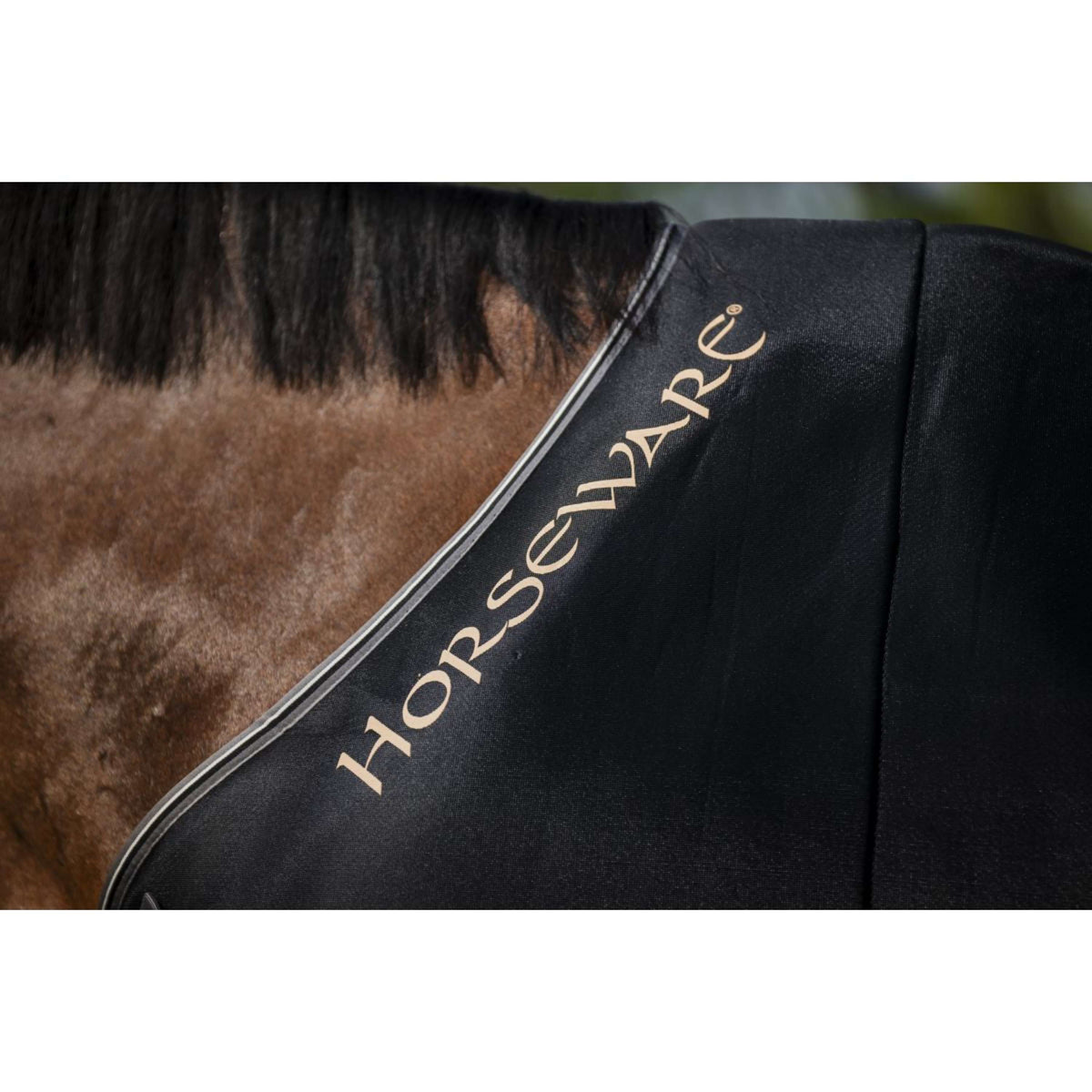 Rambo Airmax Cooler Noir/Thunderstorm Grey/Silver