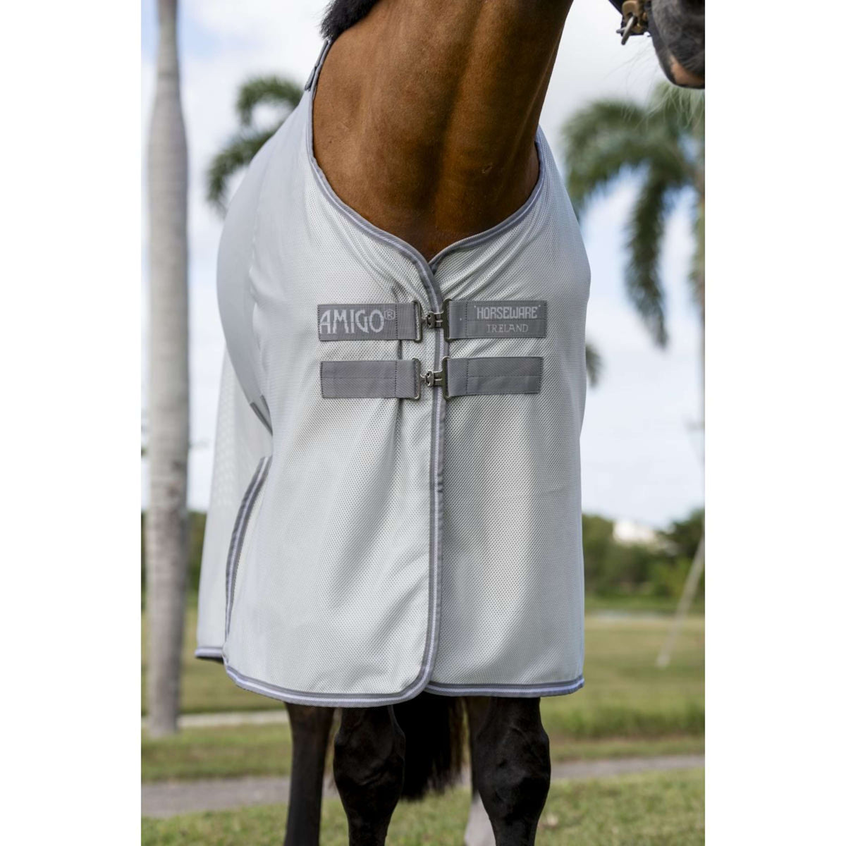 Amigo Bug Buster Argent/Gris Titane/Argent