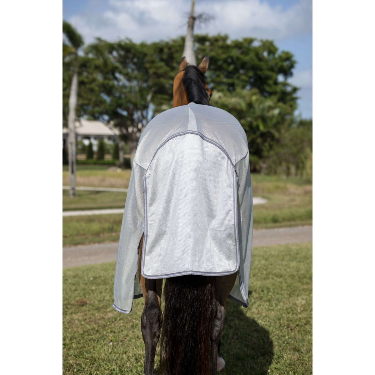 Amigo Bug Buster Argent/Gris Titane/Argent