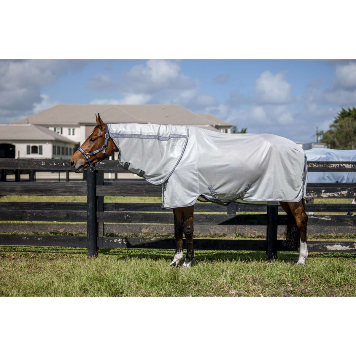 Amigo Bug Rug XL Plus Argent/Gris Titane/Argent