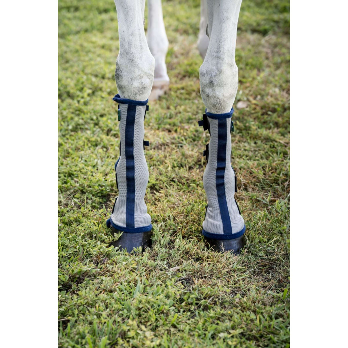 Horseware Fly Boots Set of 2 Argent/Bleu Marine