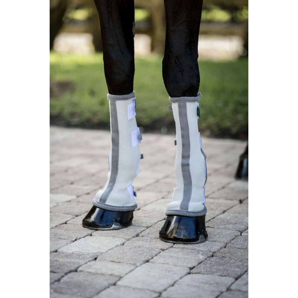 Horseware Fly Boots Set of 2 Argent/Gris Titane/Argent