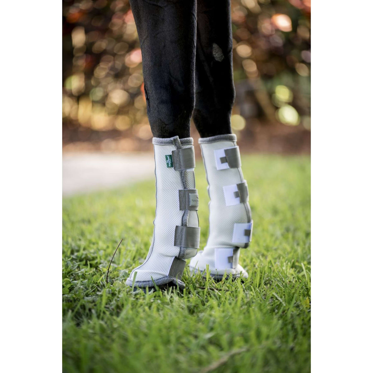 Horseware Fly Boots Set of 2 Argent/Gris Titane/Argent