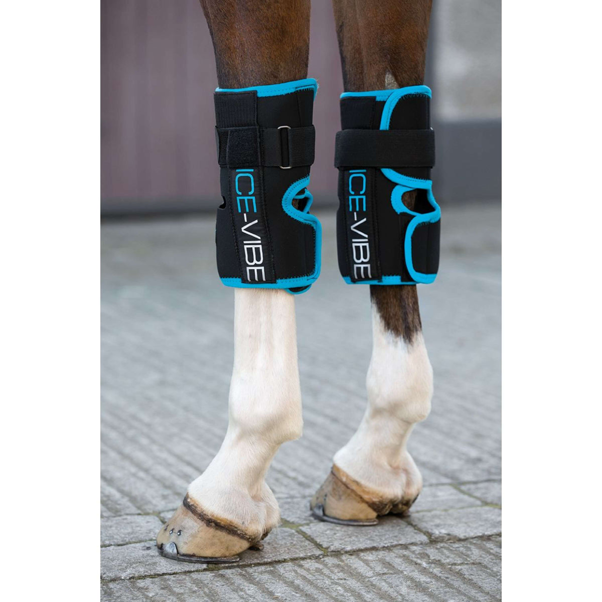 Ice-Vibe Knee Wrap Noir/Aqua