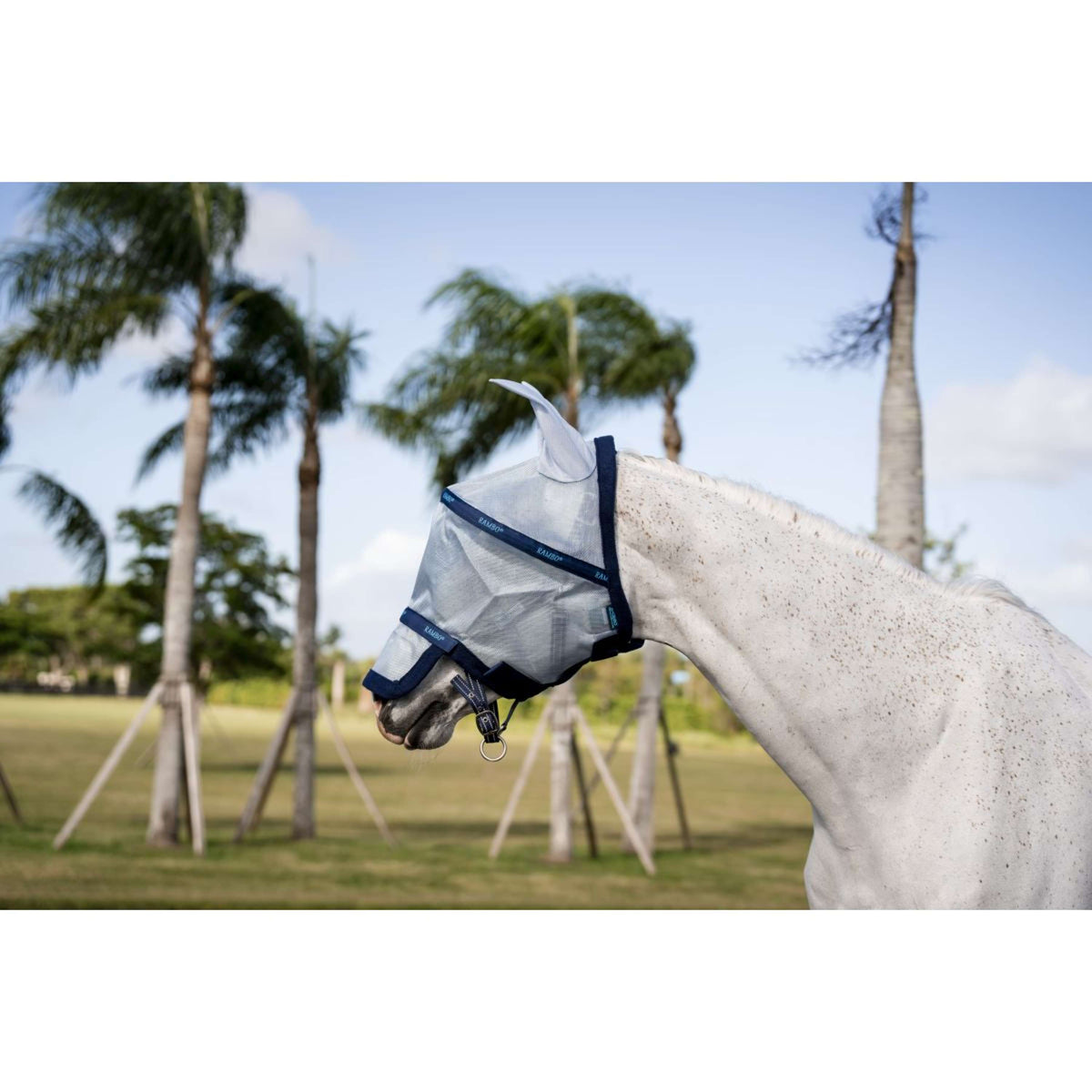 Rambo by Horseware Masque Anti-Mouches Azure Blue/Navy/Electric Blue