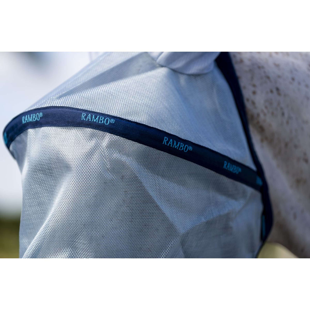 Rambo Fly Mask Azure Blue/Navy/Electric Blue