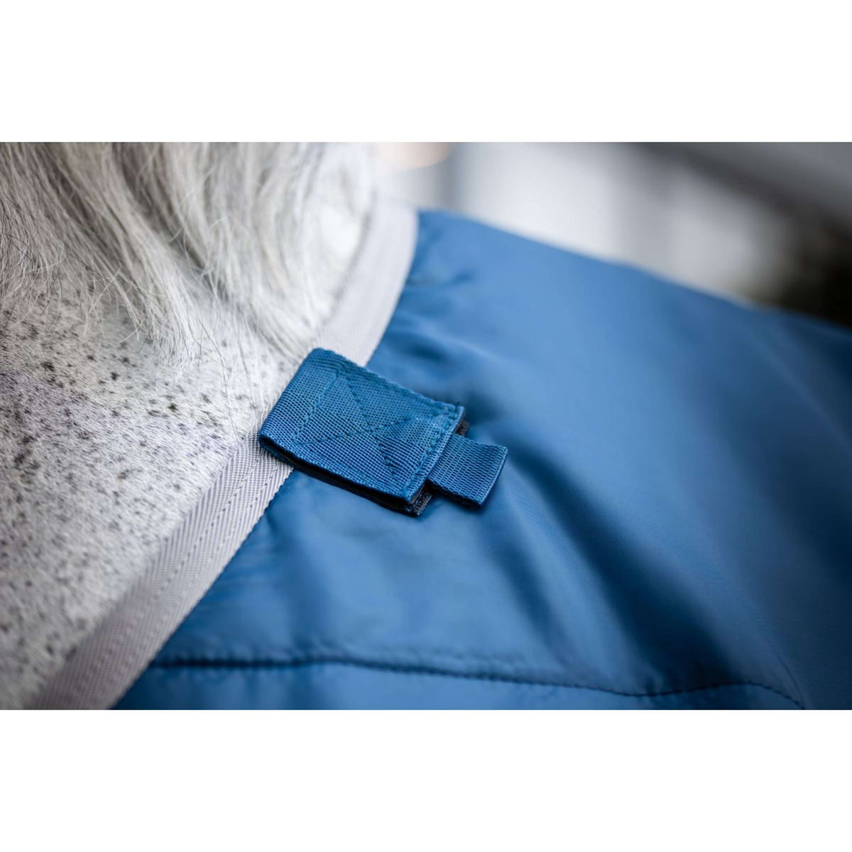 Horseware Therapy Ionic 50g Bleu Impérial/Argent/Marine