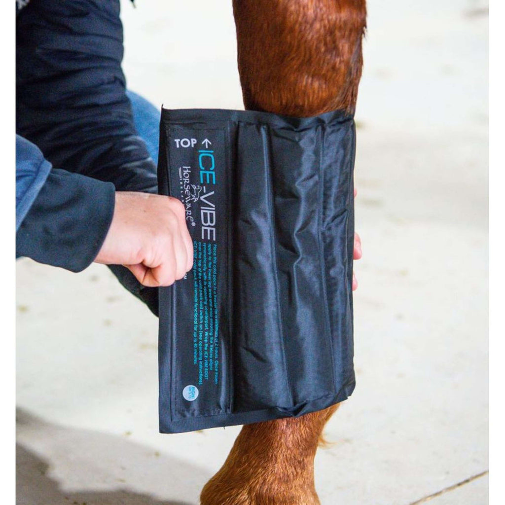 Ice-Vibe Packs de Froid II 2 Pièces Noir