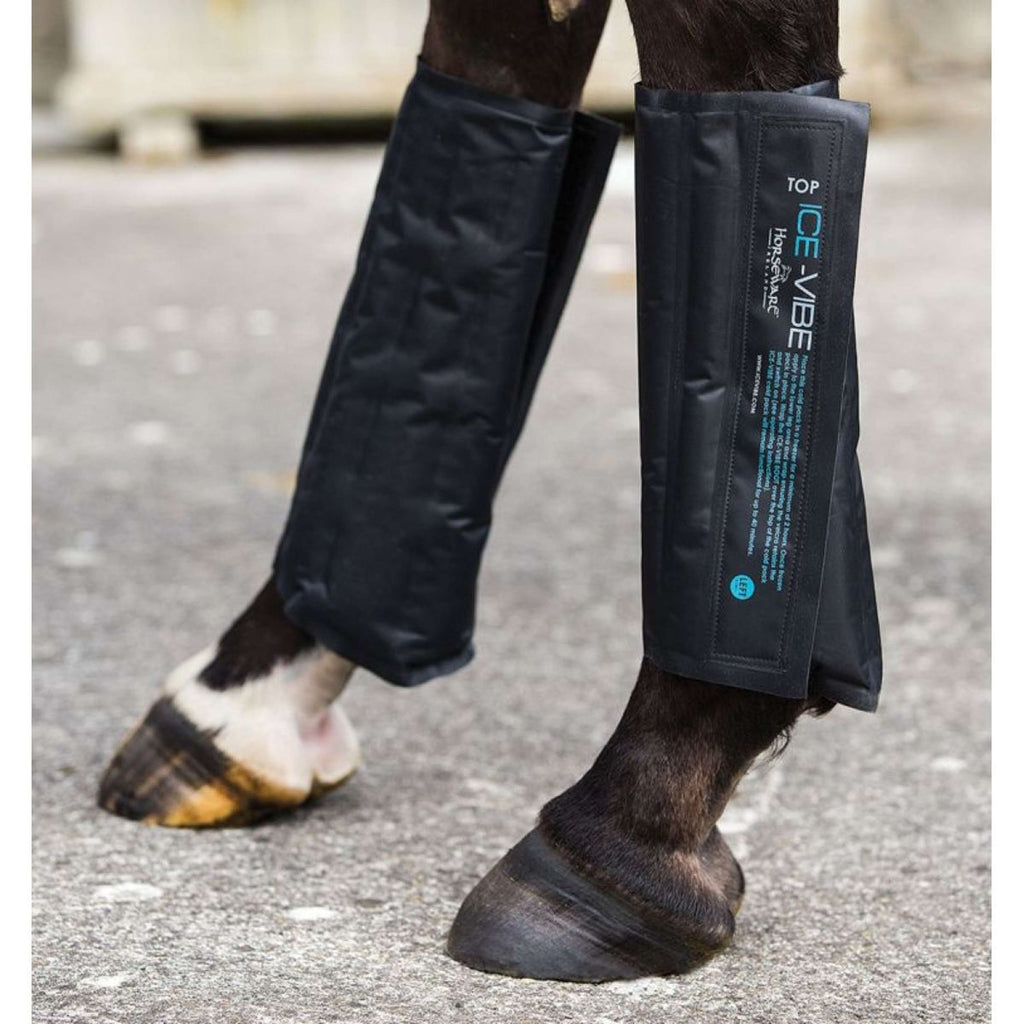 Ice-Vibe Packs de Froid II 2 Pièces Noir