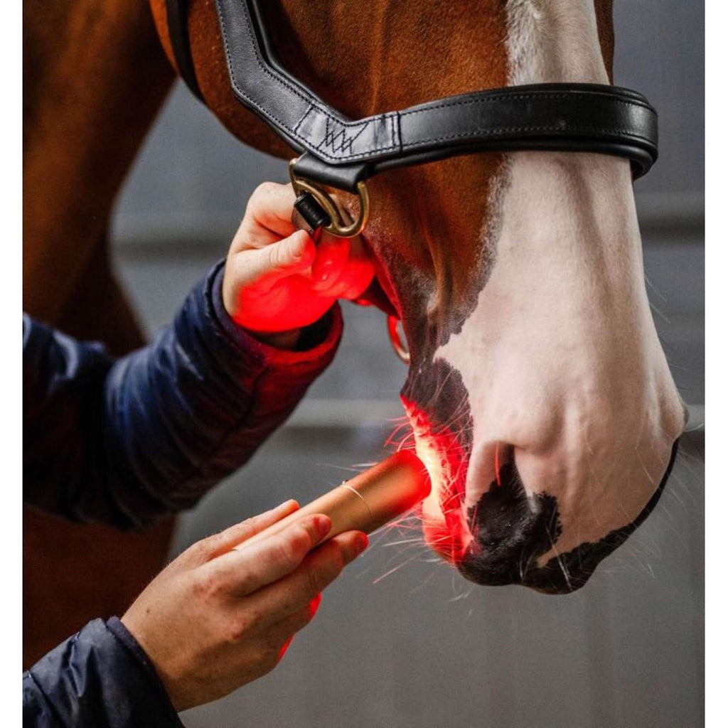 Horseware LED Red Light Therapy le bâton Noir