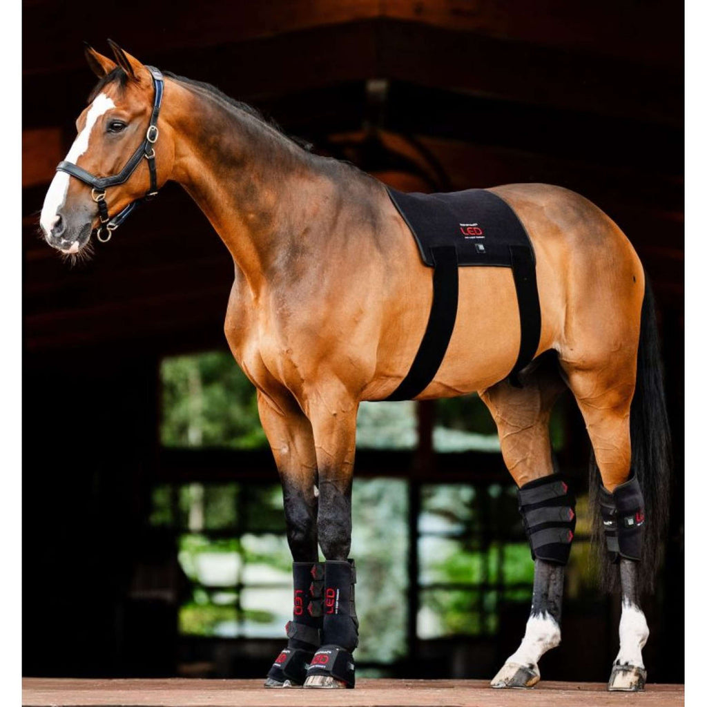 Horseware LED Red Light Therapy Pad Noir