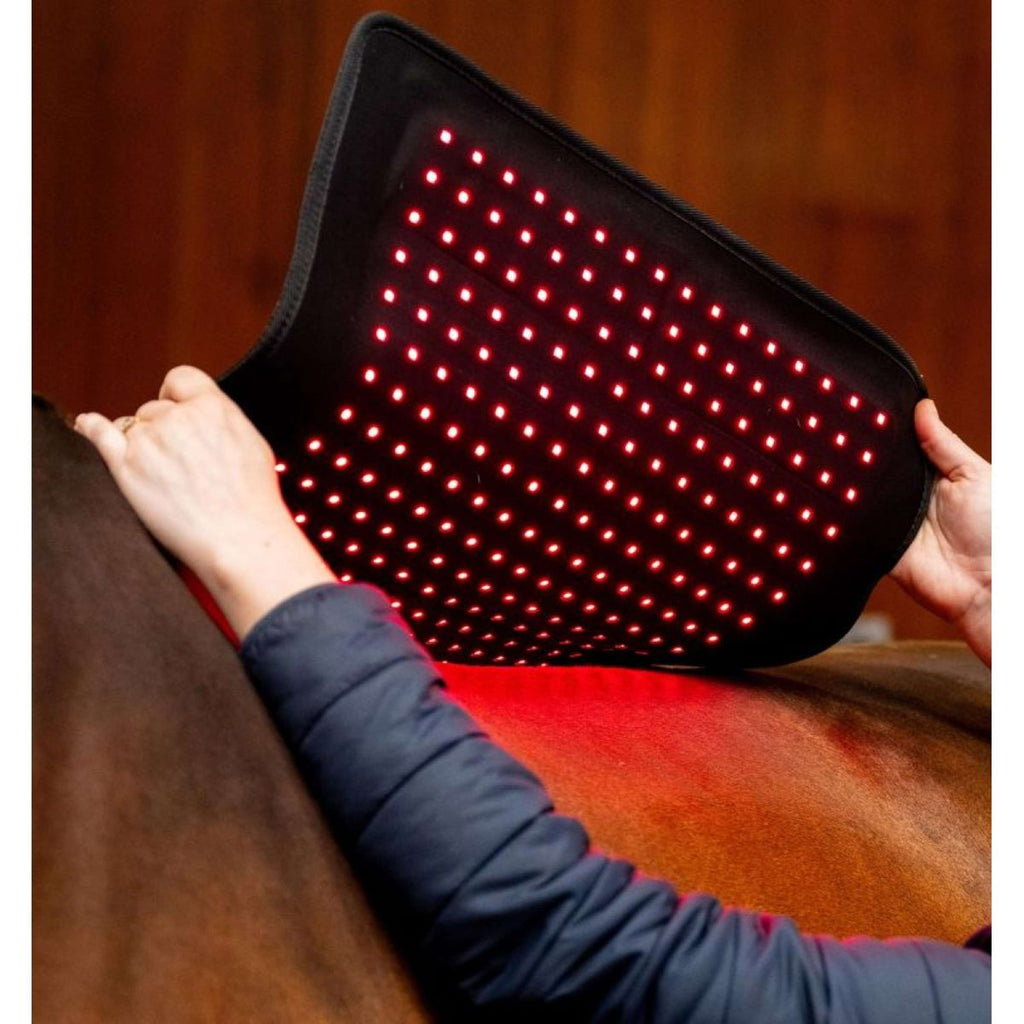 Horseware LED Red Light Therapy Pad Noir