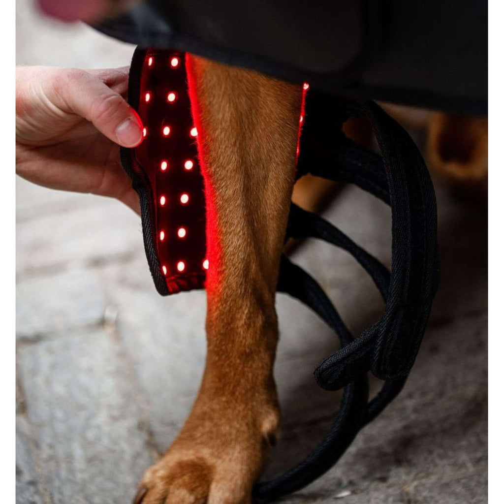 Horseware LED Red Light Therapy Pet Leg Wrap Noir