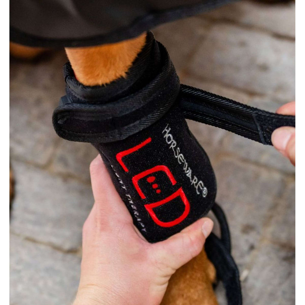 Horseware LED Red Light Therapy Pet Leg Wrap Noir