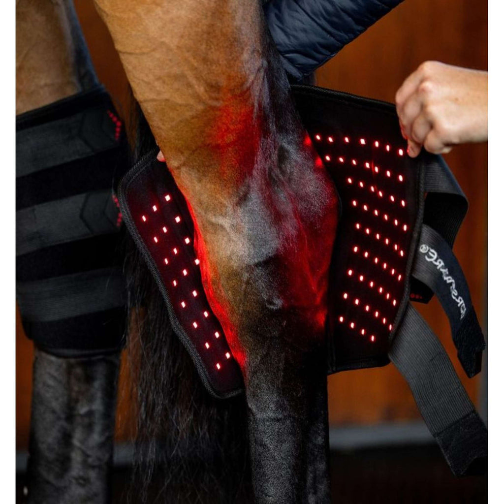 Horseware LED Red Light Therapy Left Hock Boot Noir