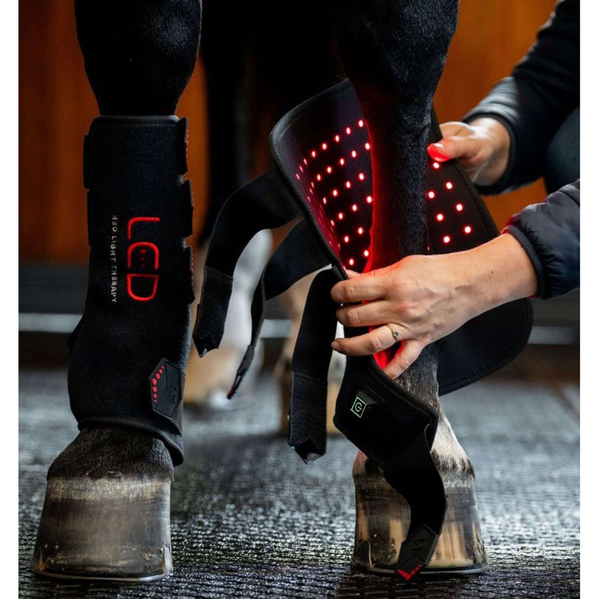 Horseware LED Red Light Therapy Right Leg Wrap Noir