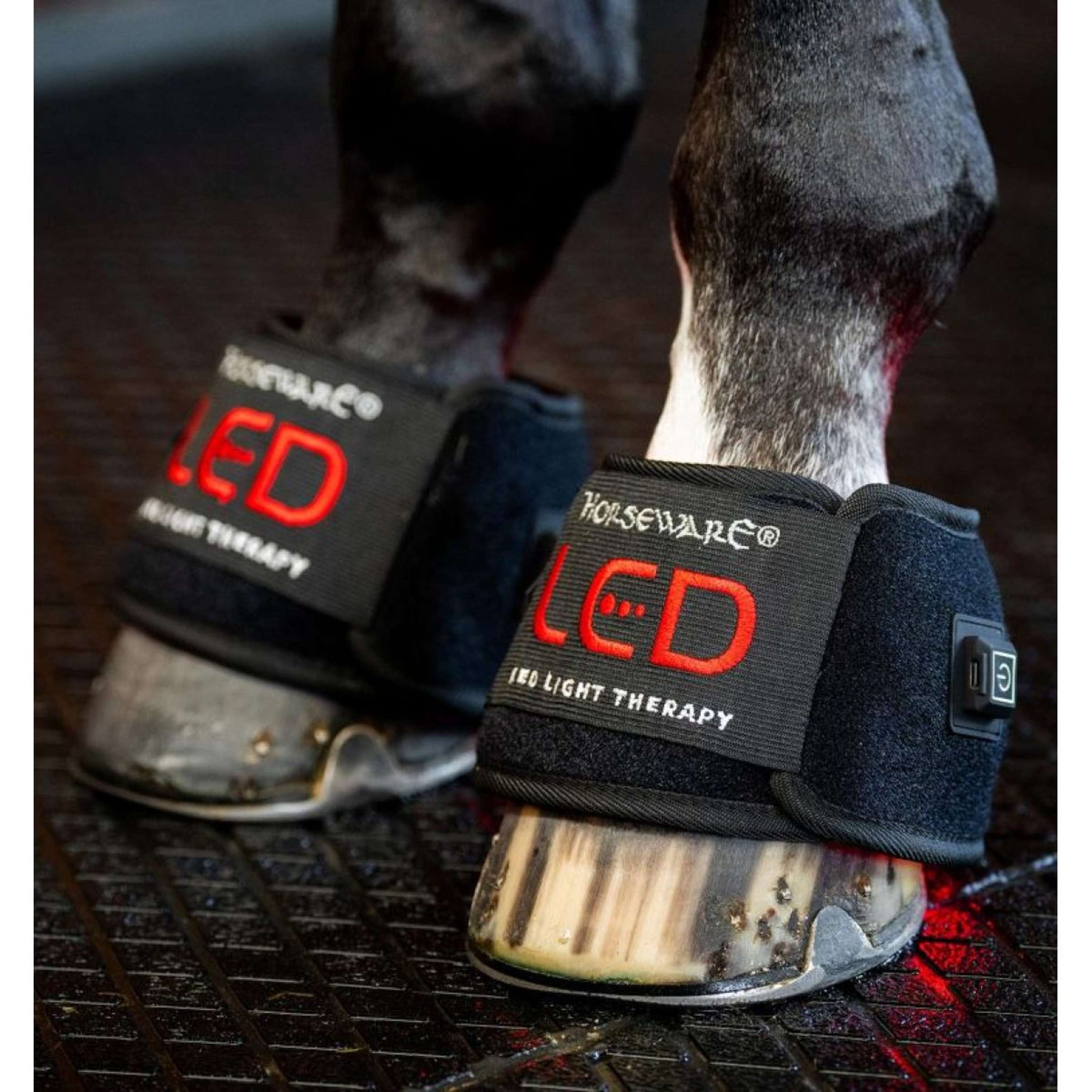 Horseware LED Red Light Therapy Mini Wrap Noir