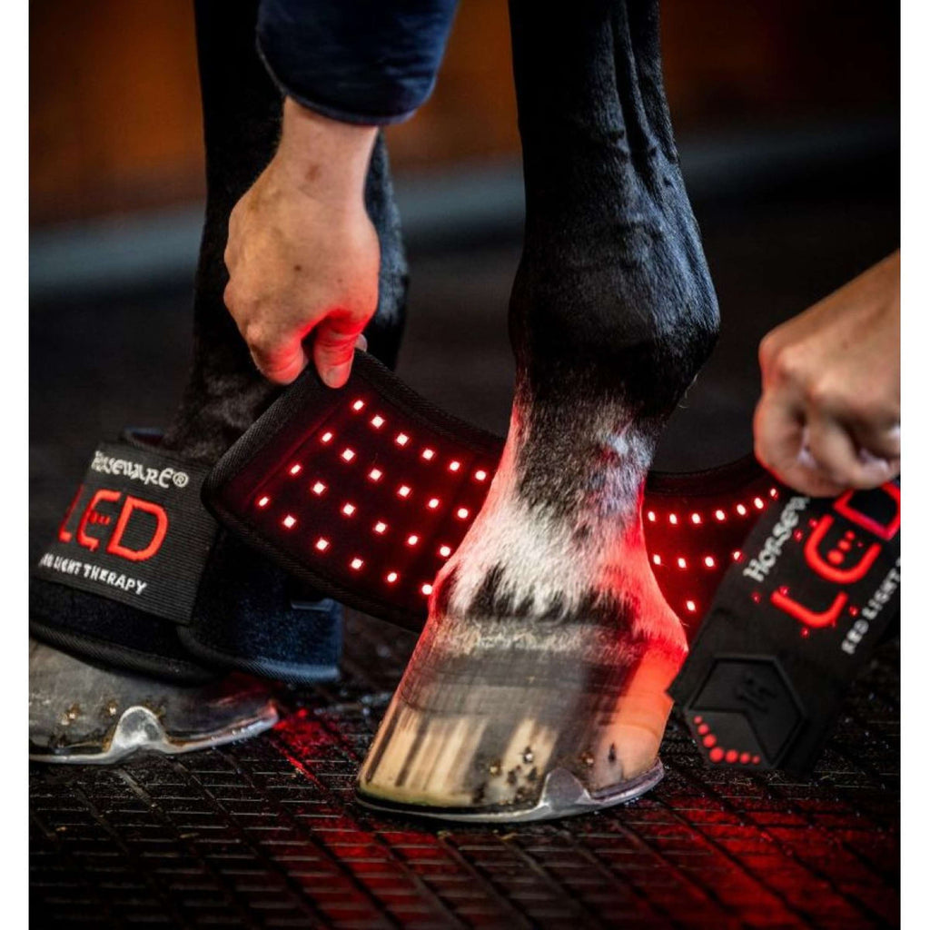 Horseware LED Red Light Therapy Mini Wrap Noir