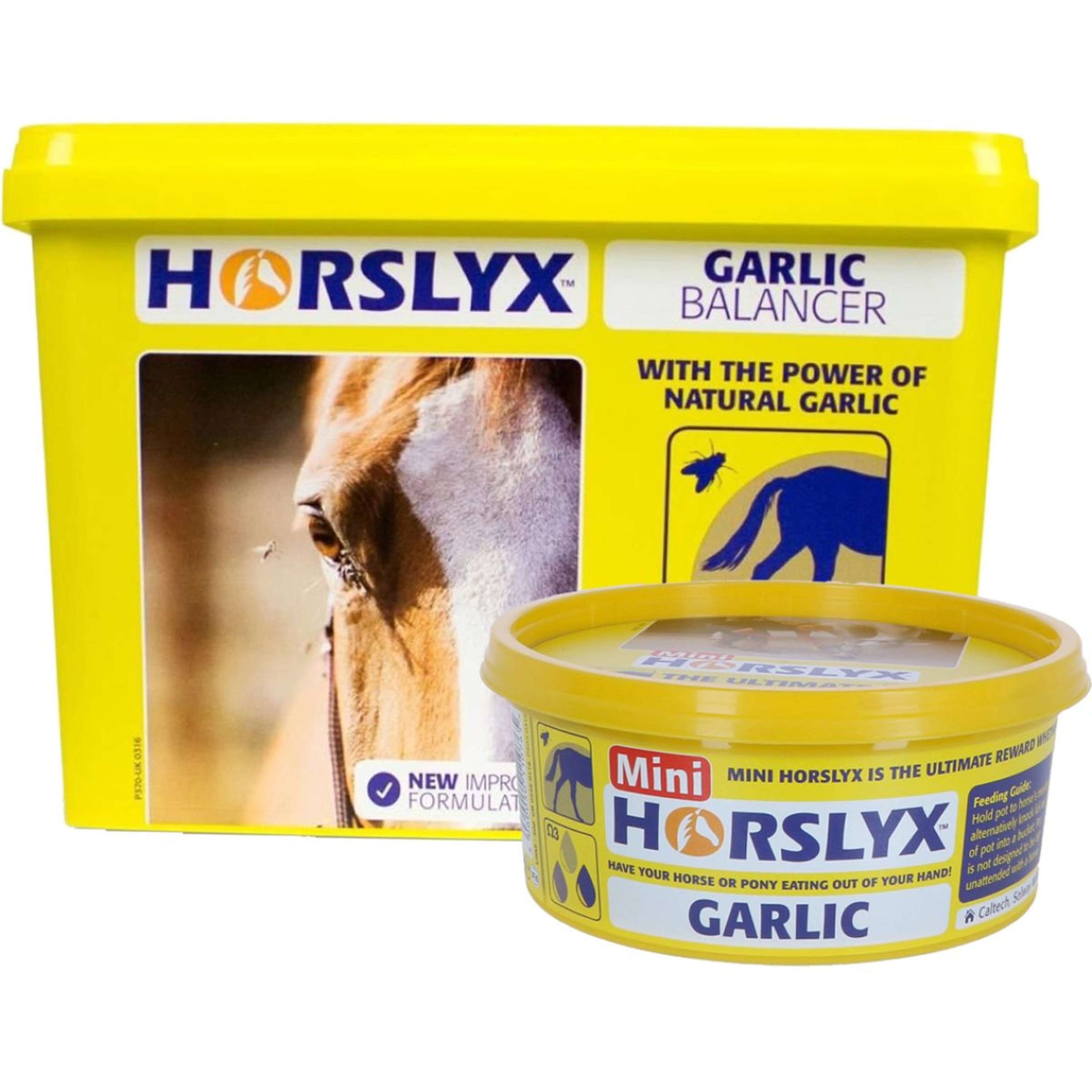 Horslyx Pierre à Lécher Garlic